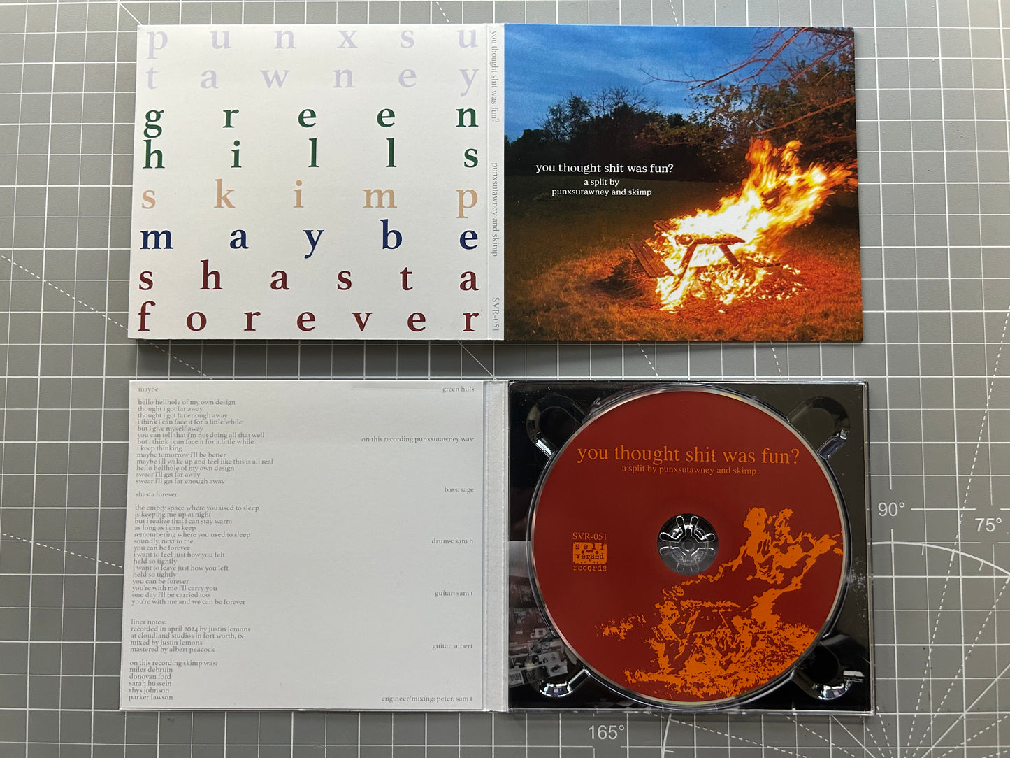 punxsutawney / skimp - you thought shit was fun? Split CD