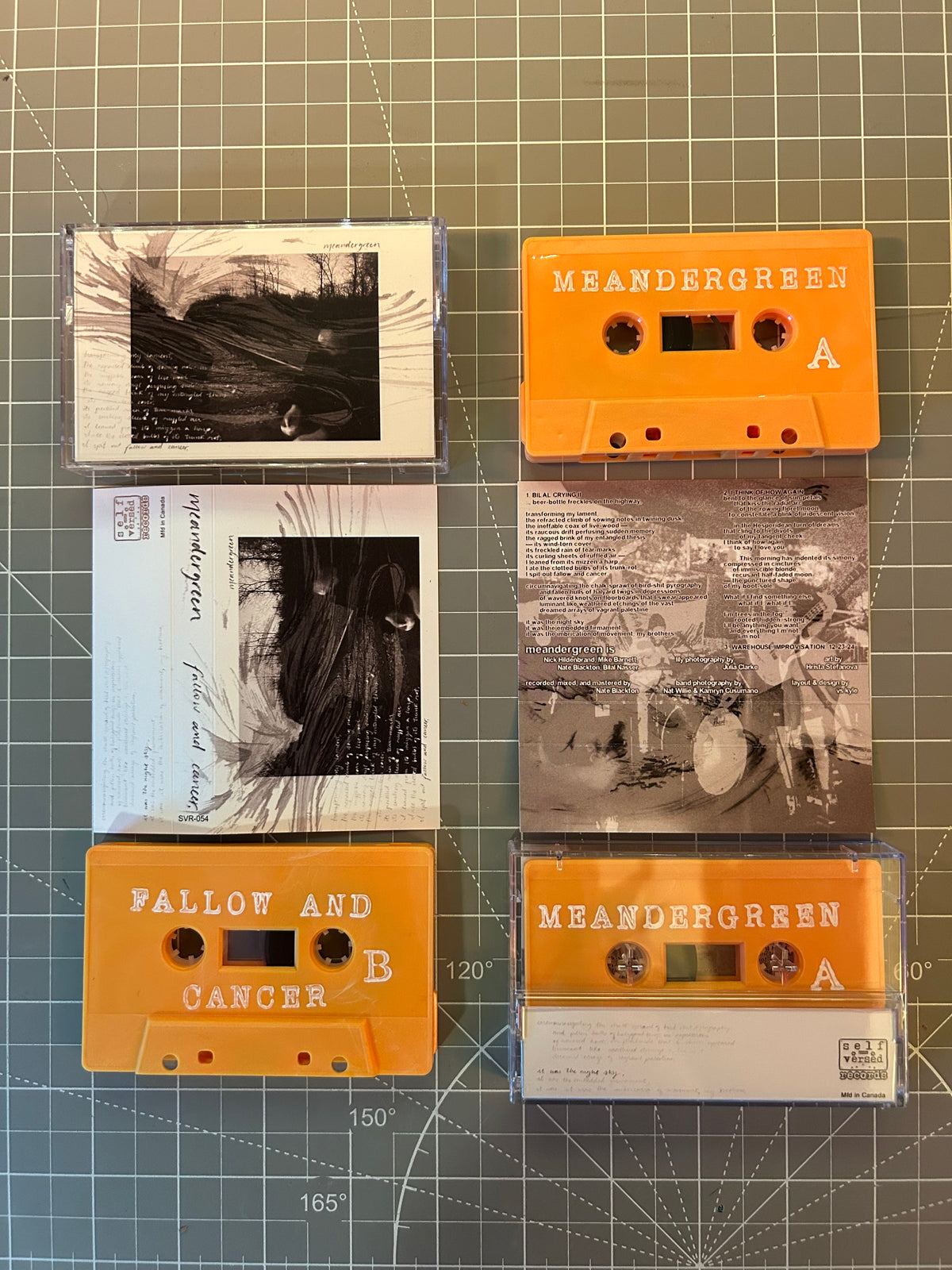 meandergreen - fallow and cancer, it was the night sky Cassette