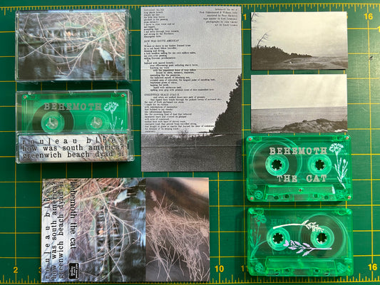 behemoth the cat - behemoth the cat Cassette